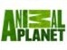 Logo de Animal Planet